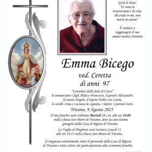 EpiEmmaBicego